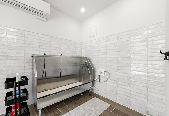 Amenities Photo