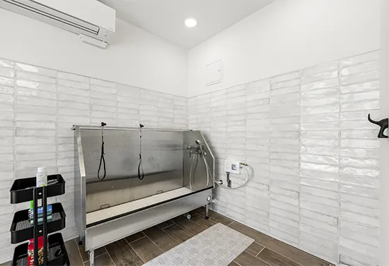 Amenities Photo